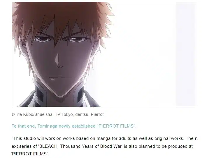 interview bleach